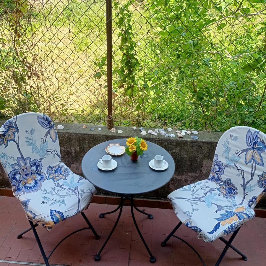 Beatiful Modern Flat Venice Centre With Private Lounge Green Area Relax エクステリア 写真